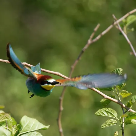 Ferienwohung Zum Wasserfall アパート
