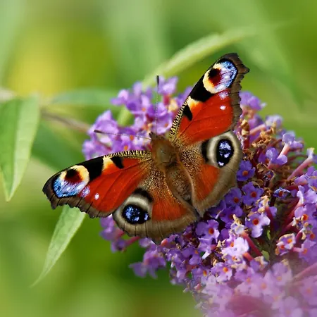 Apartment Ferienwohung Zum Wasserfall *