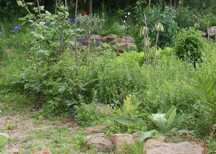 Ferienwohung Zum Wasserfall Apartment *