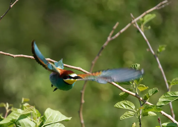 Ferienwohung Zum Wasserfall アパート