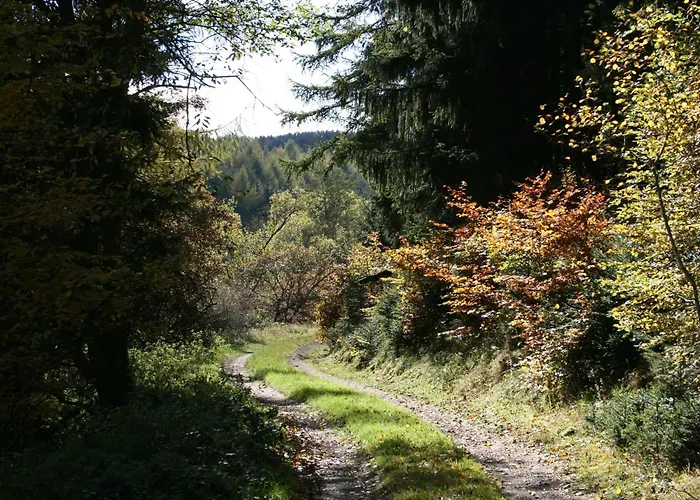 アパート Ferienwohung Zum Wasserfall