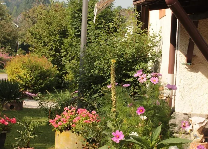 Ferienwohung Zum Wasserfall Apartment *