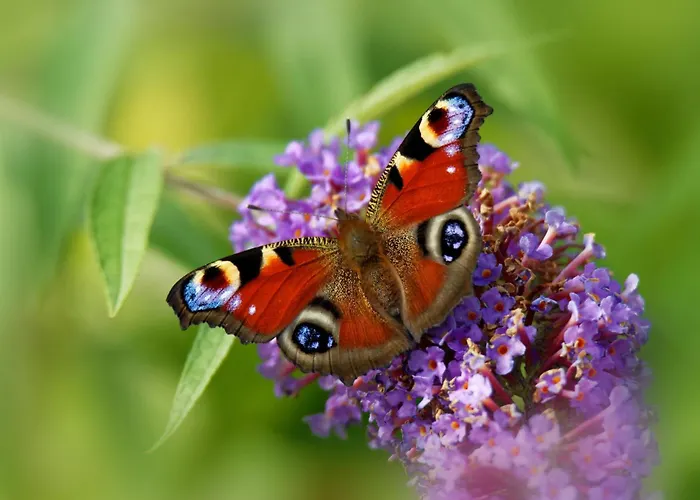 Apartment Ferienwohung Zum Wasserfall *